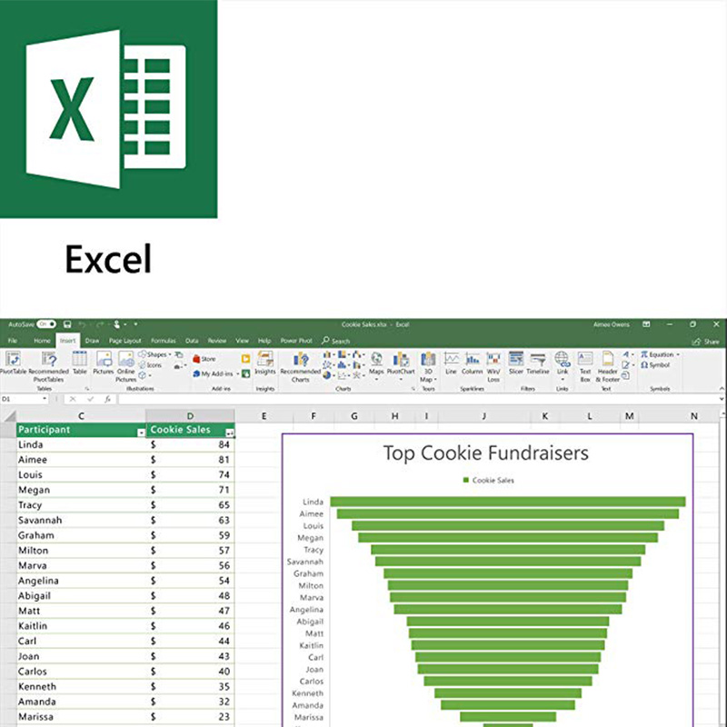 Microsoft Office 2019 Home and Student For PC