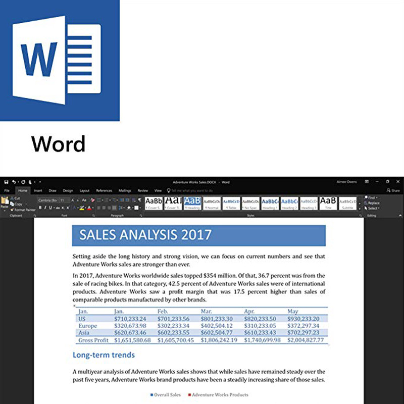 Microsoft Office 2019 Home and Student For PC